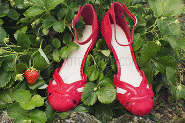 Stylish sandals nestled in strawberry plants