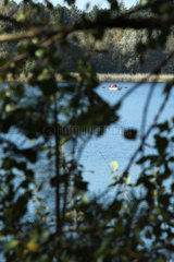 Posen  Polen  Blick durch Baeume auf einen See im Landschaftspark Urwald Zielonka