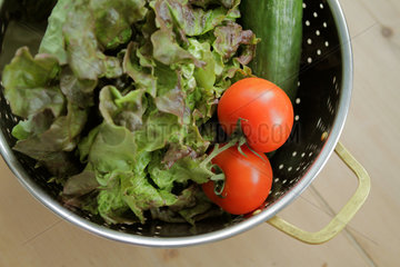 Stuttgart  Deutschland  ein Sieb mit frischer Salatgurke  Tomaten und Blattsalat