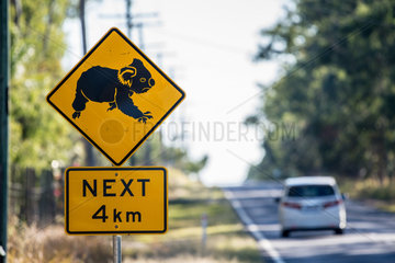 Koala-Warnung