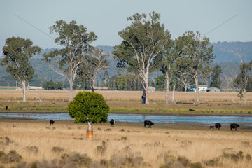 Landschaft Queensland
