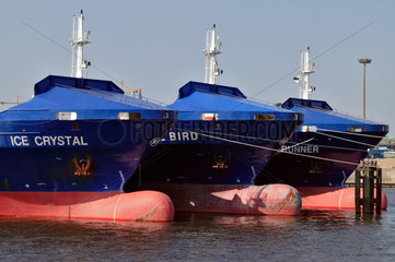 Hamburg  Deutschland  Containerschiffe im Hamburger Hafen