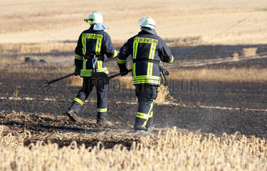 Vorder Bollhagen  Deutschland  Feuerwehrmaenner auf einem abgebrannten Feld