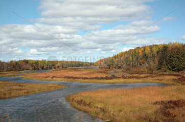 Pictou  Kanada  Herbstlandschaft im Pictou County