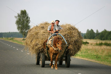 Wasilewice  Weissrussland  Bauer transportiert mit seinem Sohn Heu mit einem Pferdefuhrwerk