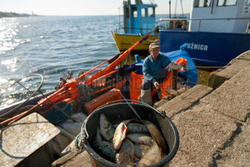 Kussfeld  Polen  Fang eines Fischers am Hafen