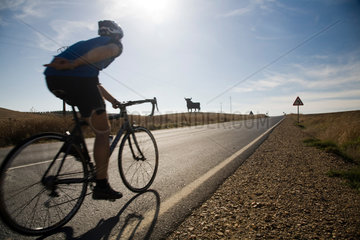 Sevilla  Fahrradfahrer auf einer Landstrasse