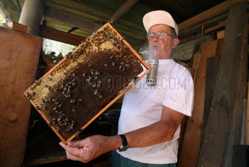 Neuenhagen  Deutschland  Imker kontrolliert einen Bienenstock