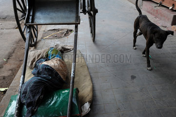 Kolkata  Indien  Asien  Ein Rikschalaeufer schlaeft am Strassenrand