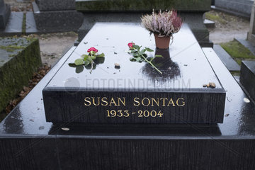 Susan Sontag  France