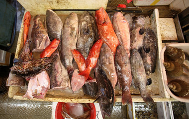 Hong Kong  China  frischer Fisch als Auslage auf einem Markt