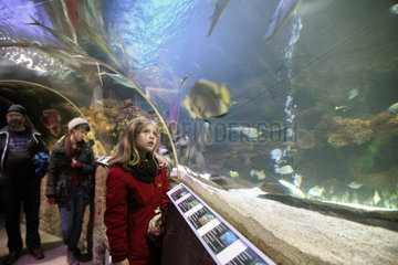 Timmendorfer Strand  Deutschland  Unter-Wasser-Tunnel des Aquariums Sea Life