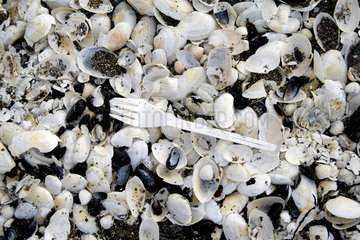 Muscheln am Strand mit Plastikgabel