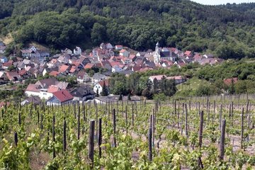 Dorf mit Weinbergen  Taubertal