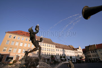 D-Sachsen: Torgau  Marktplatz mit Brunnen