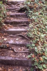 bewachsene Treppe;Lipari  Italien