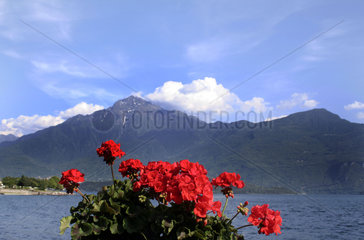 Comer See   Lago di Como