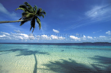 Malediven  Insel Vilamendhoo