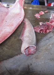 Markt in Victoria  Haifischflosse  Shark finning