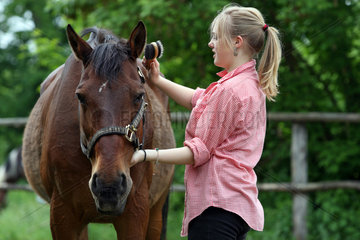 Muehlenbeck  Deutschland  Maedchen buerstet ihrem Pferd die Maehne