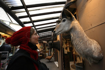 Paris  Frankreich  Ausgestopfter Antilopenkopf auf dem Flohmarkt von Saint-Quen