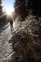 Belloe  Schweden  Kind laeuft einen verschneiten Waldweg entlang