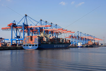 Hamburg  Containerterminal Altenwerder