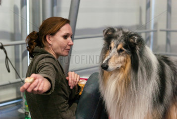 Posen  Polen  eine Zuechterin mit Collie auf der Internationalen Hundeausstellung
