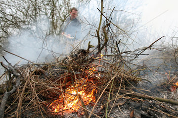 Prangendorf  Deutschland  Symbolfoto  verbrennen von Gartenabfaellen