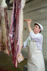 Neuruppin  Deutschland  die fertigen Schweinshaelften bekommen einen Zertifizierungsstempel