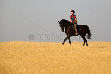 Ingelheim  Deutschland  Junge reitet auf seinem Pferd im Galopp ueber ein gemaehtes Feld