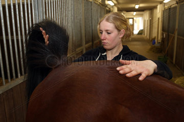 Neuenhagen  Deutschland  Pferdephysiotherapeutin bei der Arbeit