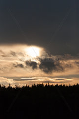 Medow  Deutschland  dunkle Wolken in der Abenddaemmerung