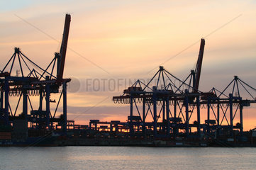 Hamburg  Deutschland  Container Terminal Altenwerder