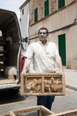 Campos  Mallorca  Spanien  ein Markthaendler laed Federvieh aus