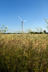 Reer  Deutschland  eine Windkraftanlage