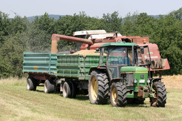Heilbronn  Bauer bei der Getreideernte mit seinen Maehdrescher Thema: Landwirtschaft  Pflanzen  Getreide