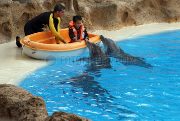 Puerto de la Cruz  Spanien  Kind streichelt einen Delfin im Loro Park