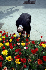 Geistlicher riecht an Blumen