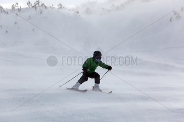Krippenbrunn  Oesterreich  ein Junge faehrt Ski