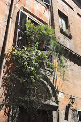 Rom  Italien  Pflanzen an einer Hausfassade