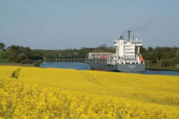 Kiel  Deutschland  das Containerschiff OOCL Narva auf dem Nord-Ostsee-Kanal