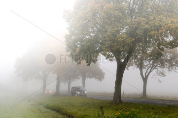 Wandlitz  Deutschland  Herbstnebel auf der L 109