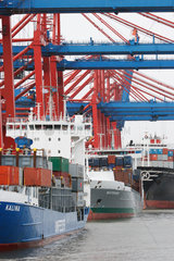 Hamburg  Deutschland  Containerschiffe liegen am Container Terminal Altenwerder CTA