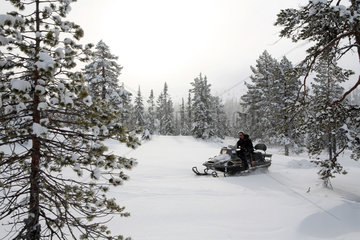 Saelen  Schweden  ein Mann faehrt auf einem Schneemobil