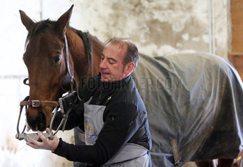 Koenigs Wusterhausen  Deutschland  einem Pferd wird vor einer Zahnbehandlung ein Maulgatter angelegt