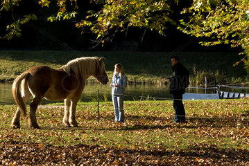 Mensch und Pferd auf einer Weide im Gartenreich Dessau-Woerlitz  Deutschland