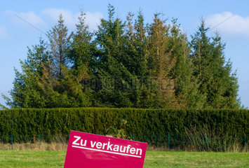 Michendorf  Deutschland  Grundstuecke stehen zum Verkauf in Wildenbruch-Lehnmarke