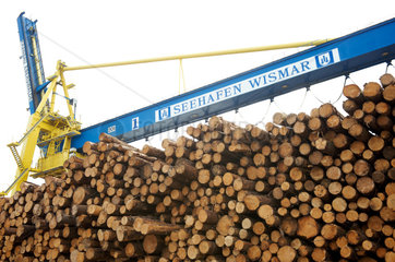 Wismar  Deutschland  gefaellte und gestapelte Baumstaemme