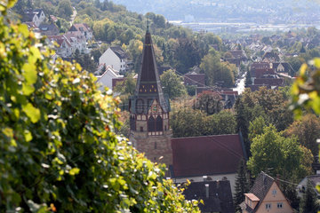 Stuttgart  Deutschland  Blick auf Uhlbach im Weinanbaugebiet